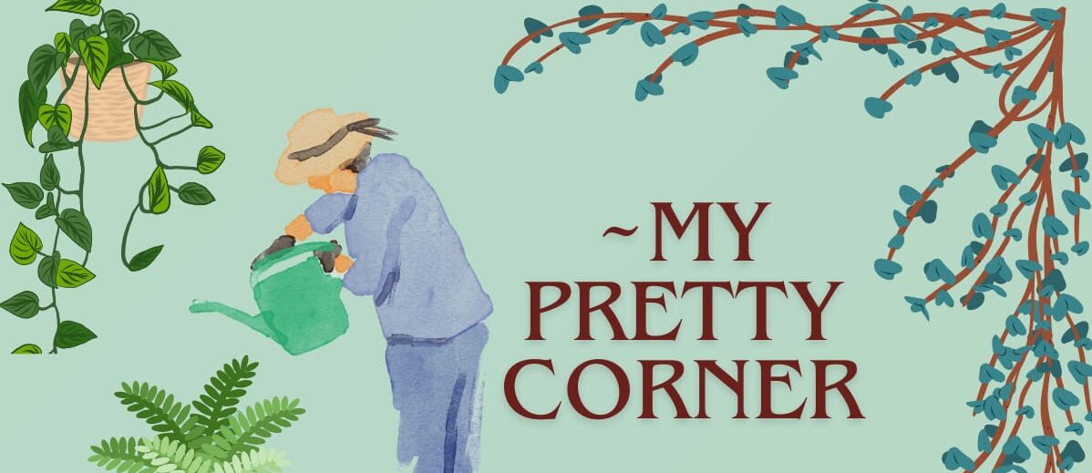 Winter Plants care tips How we prepare garden for Spring Season Summer Plants care tips All Types of Seeds Propagation